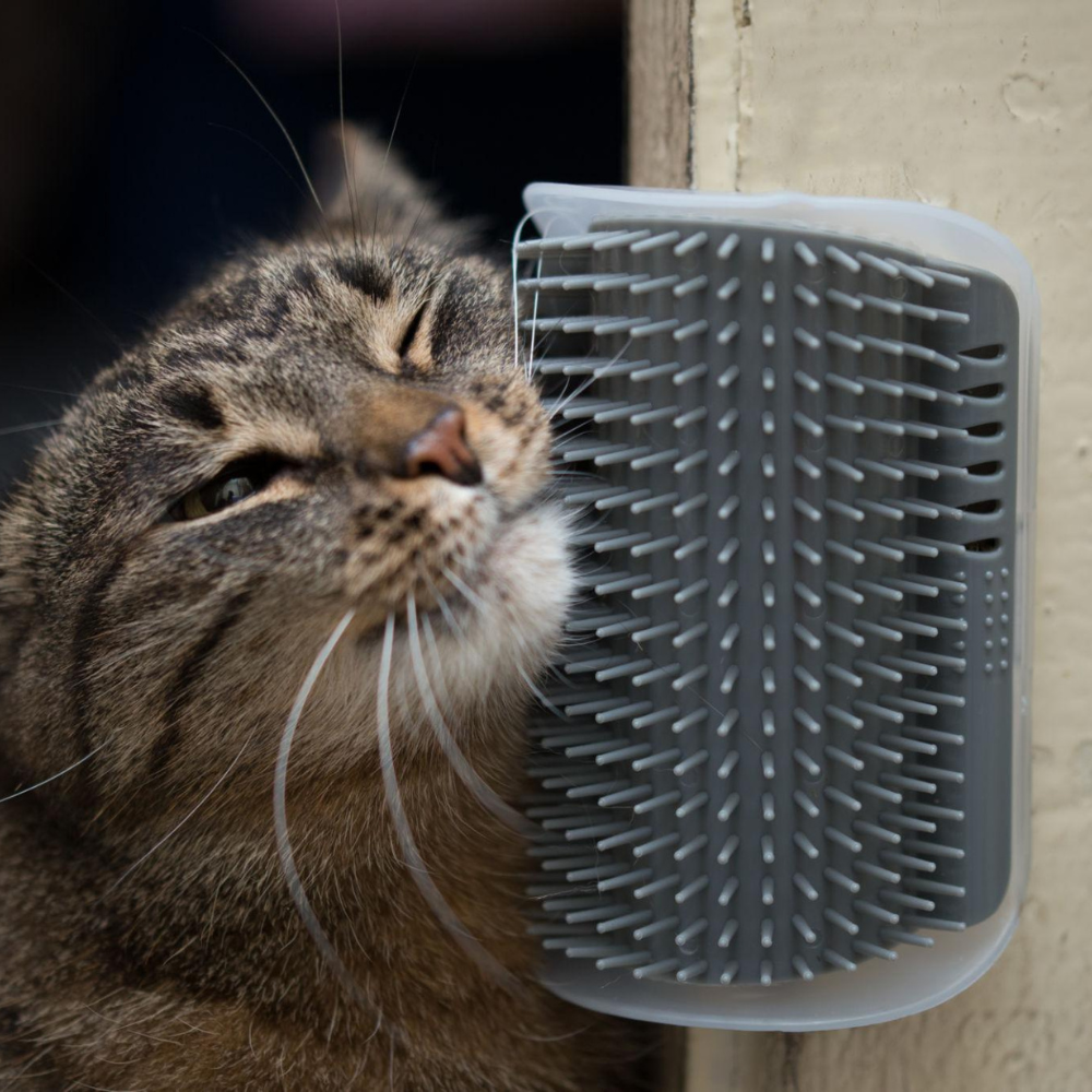 Cat Self-Grooming Brush