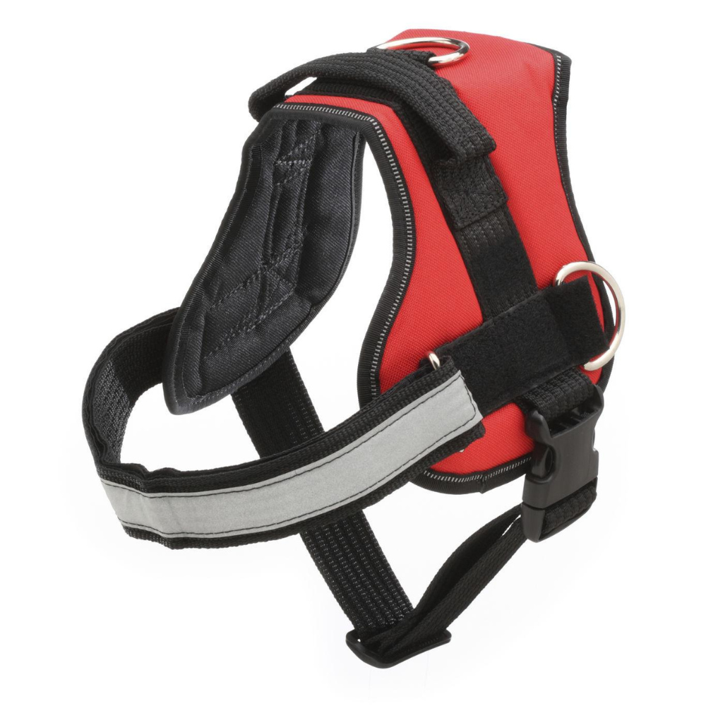 No Pull Dog Harness