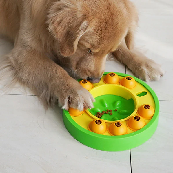 Slow Feeder Dog Bowl