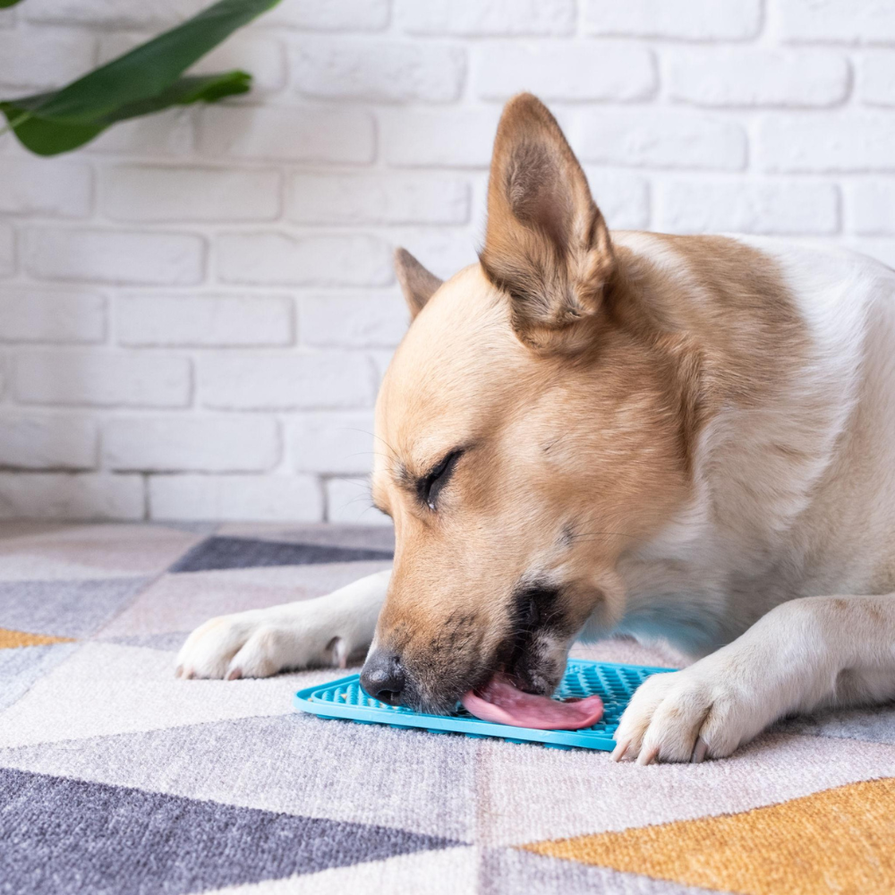 Dog Lick Mat